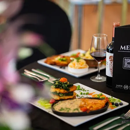 Jasek Premium Hotel 3*