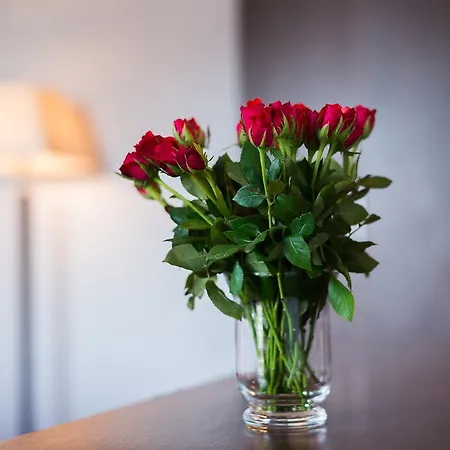 Hotel Jasek Premium Wrocław